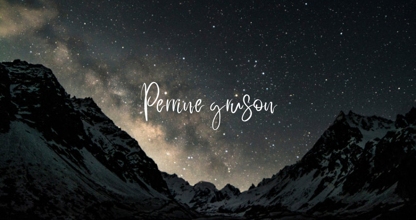 perrine gruson
