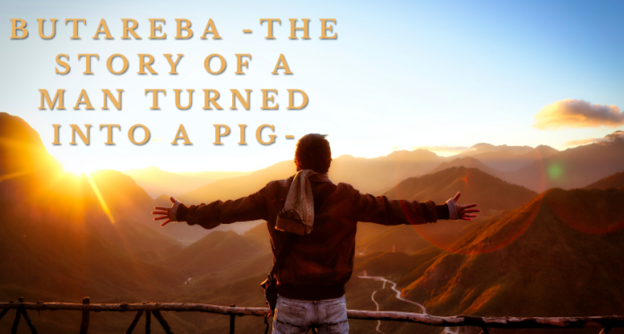 butareba -the story of a man turned into a pig-